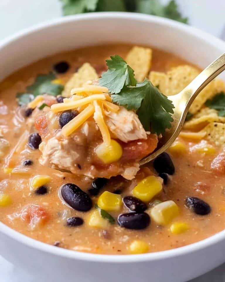 Chicken Enchilada Soup Recipe