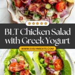 BLT Chicken Salad with a Healthy Twist Recipe