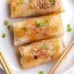Crispy Rice Paper Dumplings Recipe