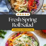 Spring Roll Salad with Spicy Ginger Dressing Recipe