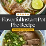 Instant Pot Pho Recipe