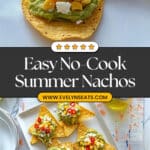 No-Cook Summer "Nachos Recipe