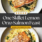 One Skillet Salmon with Lemon Orzo Recipe