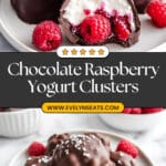 Chocolate Raspberry Yogurt Clusters Recipe