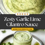 Creamy Garlic Lime Cilantro Sauce Recipe