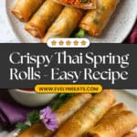 Best Crispy Spring Rolls - Thai Style Recipe